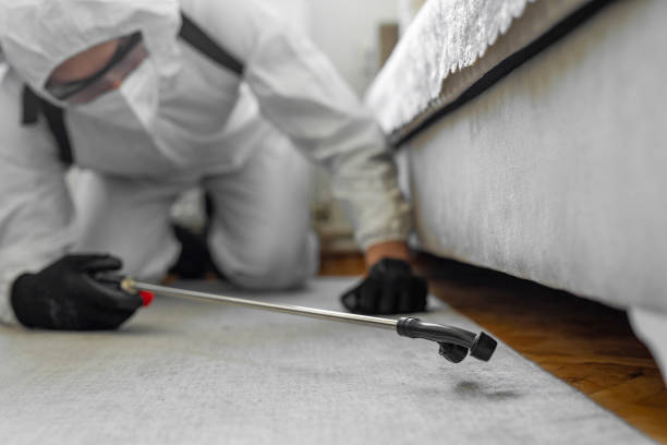 Professional Cockroach Control technician working in Richland, MS