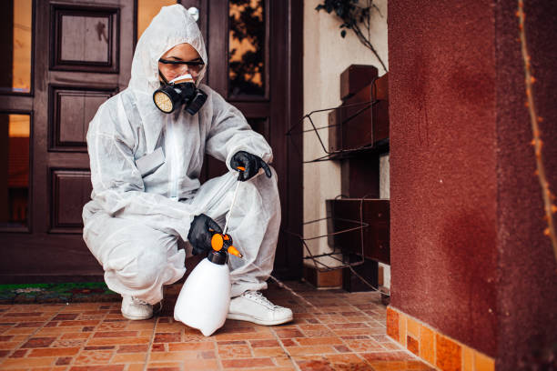 Reliable Cockroach Control contractor in Richland, MS by Nex Pest Control